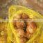 sale potato taro cheap price
