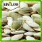 Grade AA pumpkin kernel/pepitas to Europe market
