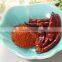 Baked AD Chili Spices Mix Manufacture