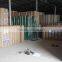 Good discount!Best welded mesh wholesale price/3or 4 ft high galvanized welded mesh roll for dog house,garden fence or bird cage