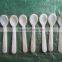 High Quality Spoon, Spoon Safe for Food, Spoon Made From Natural Seashell