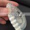 Triangle with Rivet Ttpe