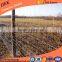 Cattle farm iron wire fencing price and abattroir