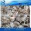 plastic film squeezing dryer