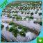 Henna Factory Supply Black Plastic LDPE Mulch Film Mulching Film for Agriculture
