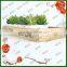 decoration wooden plant box ,display wooden plant holder