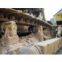 Bulldozers