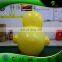 New Advertising Big Inflatable Yellow Duck, Inflatable Duck Decoy, Little Quacker for Sale