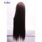 Superior quality straight hair 200% density full lace wig virgin indian human hair,costume wig,baby hair human hair the