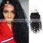 Cheap 100% INDIAN human virgin 9A grade natural hair lace closure in deep curly free part cuticle aligned hair