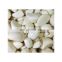 Wholesale Price 500g/1kg/2kg/10kg/20kg White Chopped Bottled Garlic Conducive to Preservation