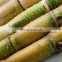 Frozen Sugarcane Sticks/Frozen sugar cane with competitive price and best  from Vietnam