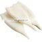 black squid tube frozen indian ocean squid tube U3 U5 U7 U10