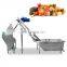Electric Manual-Wheatgrass-Juicer Wheat Grass Juice Celery Wheatgrass Extractors Manual Juicers In India