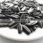 Salted Sunflower Seeds for South Africa
