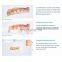 HC-L052 high quality Dental equipment portable digital Impression shining 3d dental Intraoral Scanner