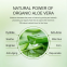 Make Your Own Lable Aloe Renewing Skin Firming Cream