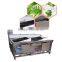 Industrial Automatic Double Tank Fruit And Vegetable Washing Machine