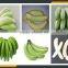 Leader green banana scaling machine Whatsapp:+8618336073732