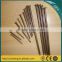 Guangzhou Factory Free Sample 2 inch common wood nail/common wire nail manufacturers
