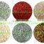 Grass Carp Fish Feed Pellet Extruder