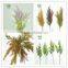 Hanging custom birch bark wreath graden decoration indooor