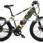 2016 electric fat tire snow beach cruiser pedelec bike