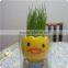 Unique Home Decoration Lovely Desktop Gift Mini Grass Growing Planter
