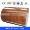 Good Quality Shandong Ppgi Steel Coilwith a Suitbale Price