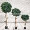 Artificial Topiary Bay Leaves Tree