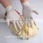 Disposable medical rubber glove properties powered latex glove