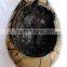 Dragon Egg Septarian Crystal Stone Geodes Turtle Stone Geodes Wholesale
