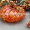 GLASS PUMPKIN