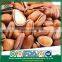 Wholesale Artificial Selection Fast Quick Food Open Pine Nuts in Shell