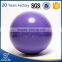 2016 Plastic Pvc Ball, Yoga Massage Balls, Exercise Stability Ball With Pump