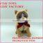 Excellent quality low price Soft cat toys for children / custom plush cat