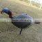 3D turkey hunting decoys /XPE animal TURKEY decoys