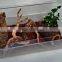 Great Choice Terrarium Reptile Starter Kit