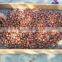 Taian chestnuts china fresh chestnuts for USA