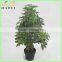 MAKE PLASTIC UMBRALLA TREE