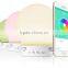 smart light product magic light music light