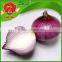 Wholesale Fresh Onion/Yellow Red Onion Exporters in China Onions in Bulk