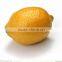 Dubai Market Fresh Lemon