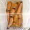 new crop fresh lotus root