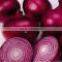 Best Onion Brand In Egypt