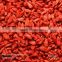 hot sell the newest Chinese Natural and organic Ningxia dried organic goji berries