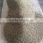 Robusta type green coffee beans,new crop,washed,polished grade AA 18
