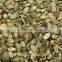 common style pumpkin kernels shine skin