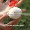 Animal Tails for Cars Cute Cheap Doll Mini Sheep Keyring Toys