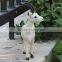small size plush plastic goat toy